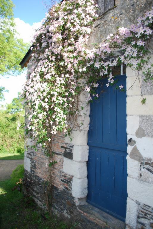 La Petite Boire - Chambres D'Hotes Pres D'Angers Murs-Erigne Buitenkant foto
